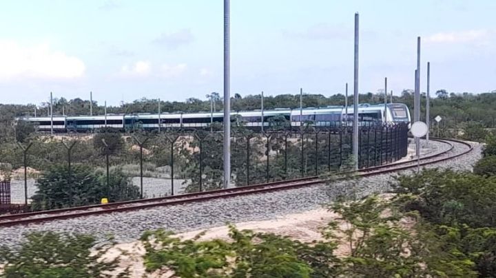 Semarnat autoriza nuevo desmonte de selva para la terminal de carga del Tren Maya en Cancún