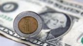Foto ilustrativa de la nota titulada: Peso gana ante posible recorte de tasas de interés en EU