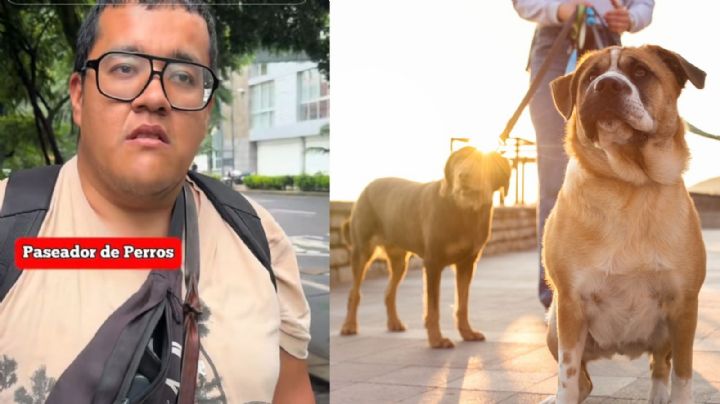 Paseador de perros sorprende con lo que gana al mes, más que un profesionista (VIDEO)