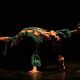 Tras polémica por vínculo con gobierno israelí, festival de danza anuncia cancelación de artistas