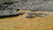 Foto ilustrativa de la nota titulada: A 11 años del derrame tóxico en el Río Sonora, Comités denuncian abandono del Gobierno Federal