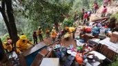 Foto ilustrativa de la nota titulada: Recuperan cuatro hectáreas invadidas en la zona boscosa de Los Dinamos