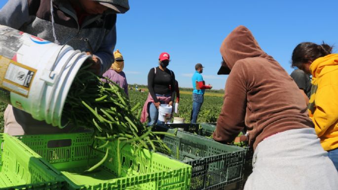 México registró la mayor pérdida de empleos permanentes desde 2015