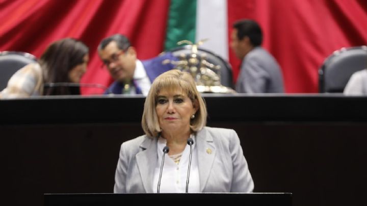 Diputada del PRI pide al gobierno federal implementar programa nacional de baches