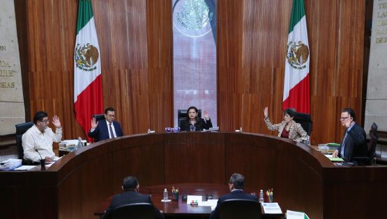 ¿Por qué voté en contra de la propuesta de nulidad de la elección de ministros de la Corte?