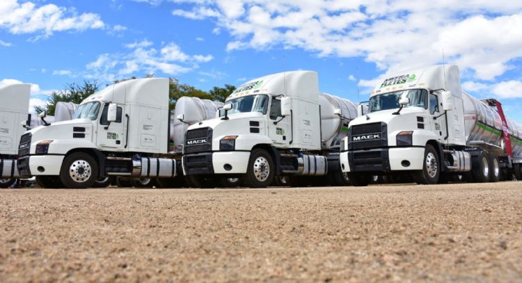 Los prestanombres detrás del huachicol fiscal