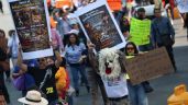 Foto ilustrativa de la nota titulada: “Fue despojo, no rescate”: Marchan en defensa del Refugio Franciscano en CDMX (Video)