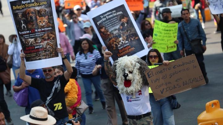 “Fue despojo, no rescate”: Marchan en defensa del Refugio Franciscano en CDMX (Video)