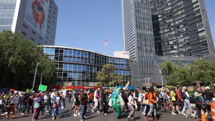 “Fue despojo, no rescate”: Marchan en defensa del Refugio Franciscano en CDMX (Video)