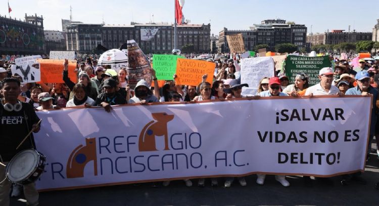 Jueza de la CDMX ordena devolver predio al refugio Franciscano