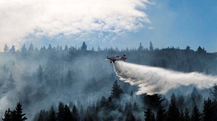 Incendios arrasan miles de hectáreas en la Patagonia; con 10% de focos activos, el riesgo persiste