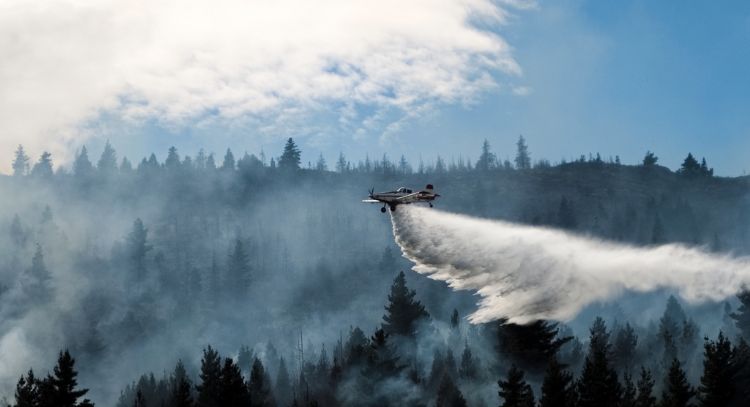 Incendios arrasan miles de hectáreas en la Patagonia; con 10% de focos activos, el riesgo persiste