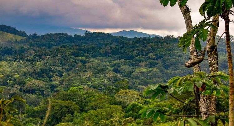 Habitantes de los Chimalapas piden base militar, ante amenazas de grupo delincuencial