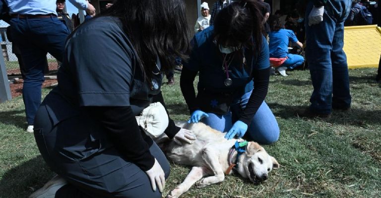 Foto: Miguel Dimayuga