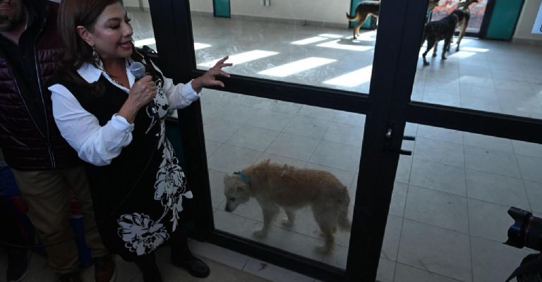 Foto: Miguel Dimayuga