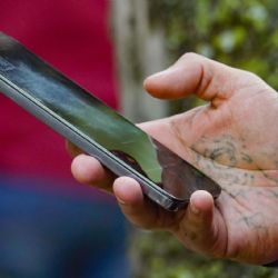 Registro de líneas móviles y la protección de datos personales