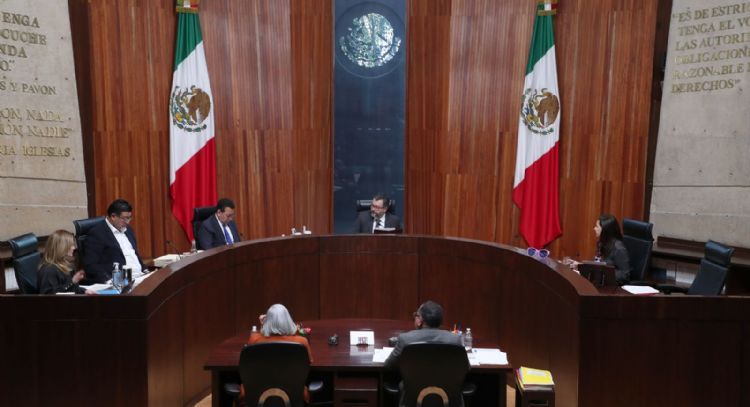 TEPJF confirma extender los mandatos de los comités ejecutivos estatales de Morena