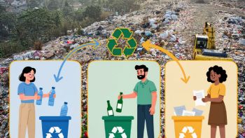 Separación de residuos en CDMX: guía práctica para reciclar y evitar errores comunes