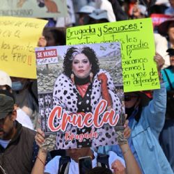 Nueva marcha animalista: comparan a Brugada con Cruella de Vil y “pasan lista” a víctimas (Video)