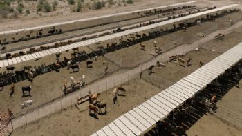 Durazo logra alianza con UGRS e impulsan más de 800 millones para parque industrial y modernización