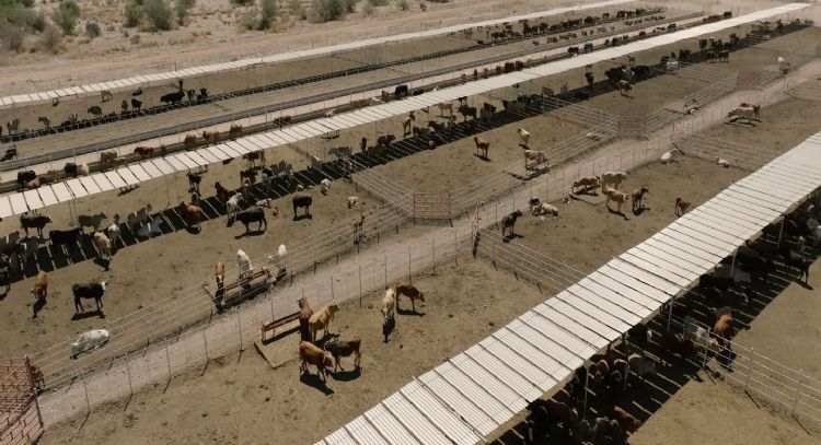 Durazo logra alianza con UGRS e impulsan más de 800 millones para parque industrial y modernización