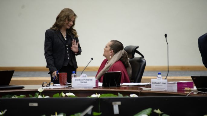 INE contrata miniserie a empresa vinculada con la Estafa Maestra; Carla Humphrey se deslinda