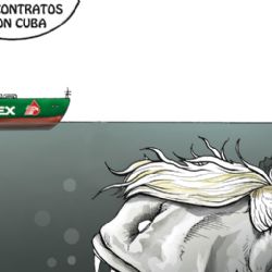 "Solidaridad en reversa"