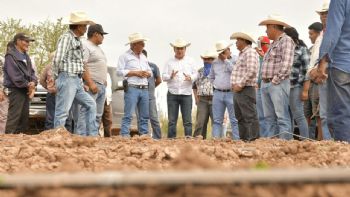 Con liderazgo de Gobernador Durazo se fortalece el campo sonorense; crece 18% actividad primaria