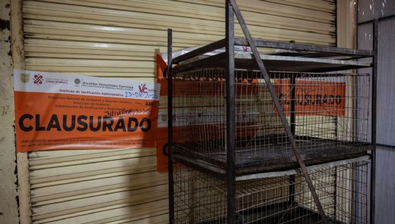Llaman a reforzar la vigilancia en el Mercado de Sonora contra la venta ilegal de animales