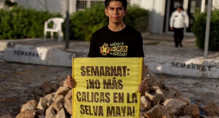 Calica debe reparar daños ambientales en Playa del Carmen: Juzgado federal de Quintana Roo
