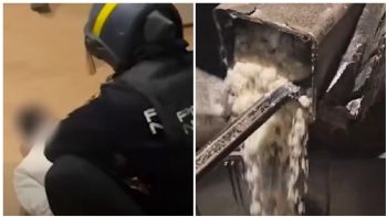 Desmantelan red europea del Cártel de Sinaloa: detienen a nueve y aseguran casi 3 millones de euros