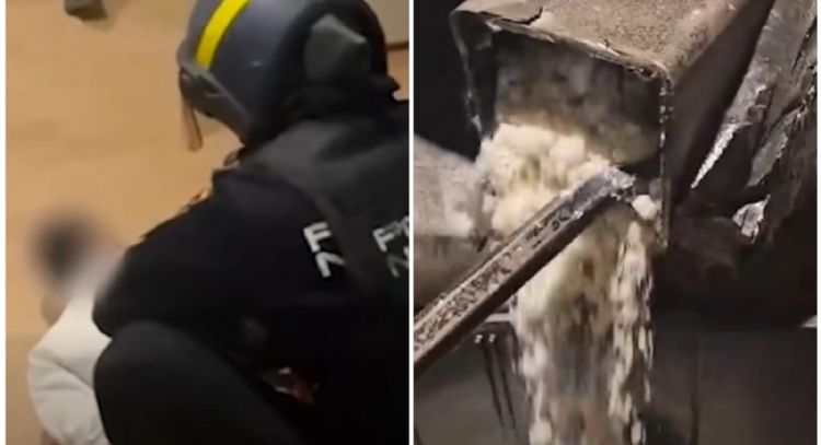 Desmantelan red europea del Cártel de Sinaloa: detienen a nueve y aseguran casi 3 millones de euros