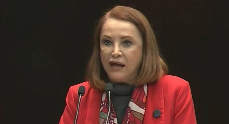 El “Plan B” será enviado al Senado: Laura Itzel Castillo