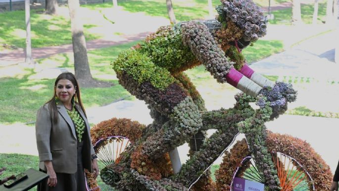 Brugada anuncia intervención de 90 avenidas para el “Arte Verde del Mundial”