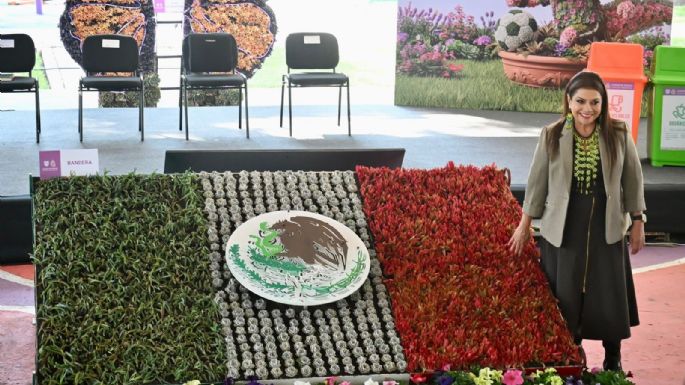 Brugada anuncia intervención de 90 avenidas para el “Arte Verde del Mundial”