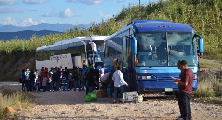 Migrar bajo amenaza: crimen organizado extorsiona a jornaleros agrícolas en Guerrero