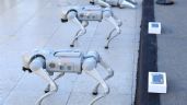 Foto ilustrativa de la nota titulada: "Perros robot" apoyarán a policías mexicanos durante el Mundial de 2026
