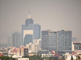 Doble Hoy No Circula sabatino en el Día del Amor; estos vehículos deberán quedarse en casa