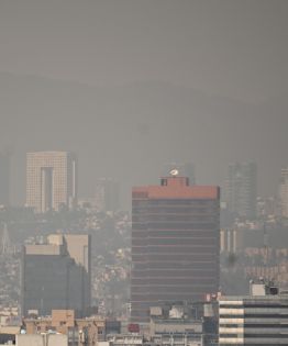Anuncian Doble Hoy No Circula este miércoles 11 de marzo por Fase I de Contingencia Ambiental