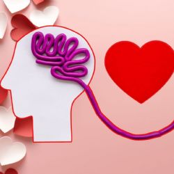 14 de febrero: ¿el amor se siente en el corazón o en el cerebro? Esto dice la ciencia