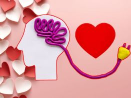 14 de febrero: ¿el amor se siente en el corazón o en el cerebro? Esto dice la ciencia