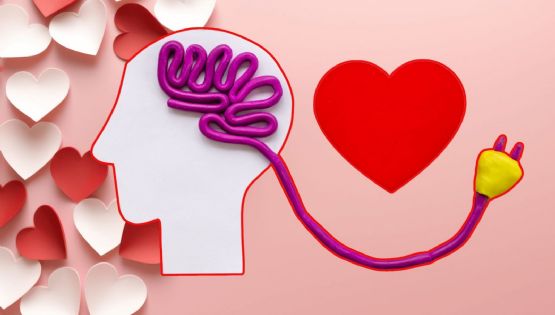 14 de febrero: ¿el amor se siente en el corazón o en el cerebro? Esto dice la ciencia