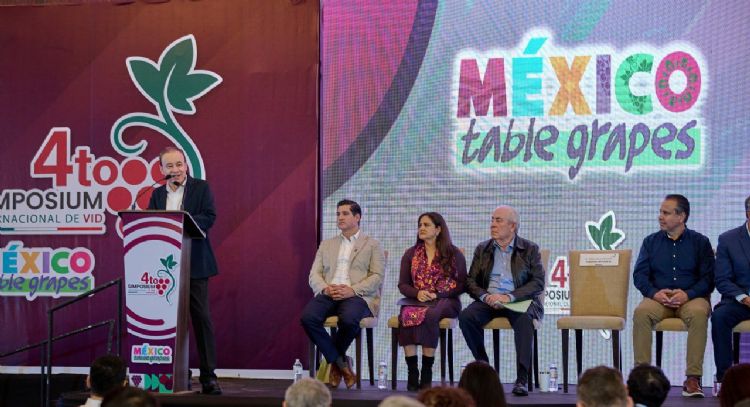 Durazo consolida a Sonora como líder en producción de uva de mesa