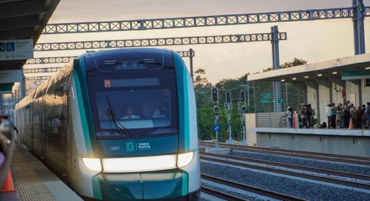 Tribunal ordena al gobierno protección ambiental durante la construcción del Tren Maya