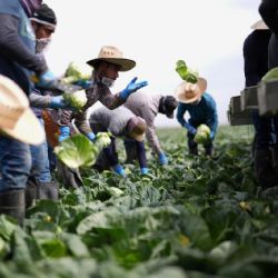 Las remesas y el gobierno de Trump. Sin embargo, se mueven