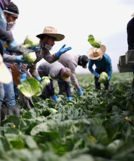 Organizaciones denuncian que políticas migratorias en América Latina intensificaron deportaciones