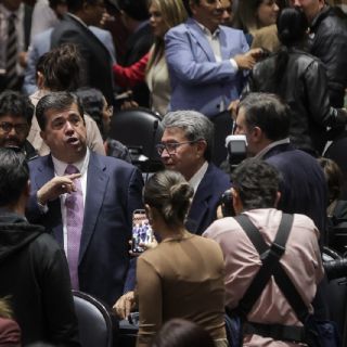 Morena, PT y PVEM no se ponen de acuerdo con la reforma electoral, admite Monreal