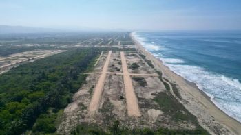 Nuevo “cártel del despojo” arrebata playas y reservas ecológicas comunales en Oaxaca