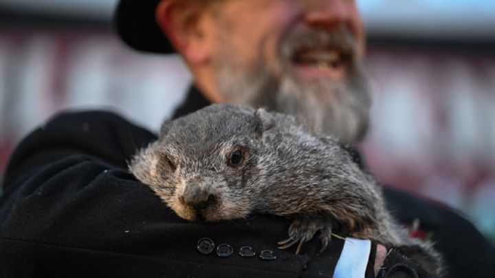 Día de la Marmota: Phil predice 6 semanas más de clima invernal en EU
