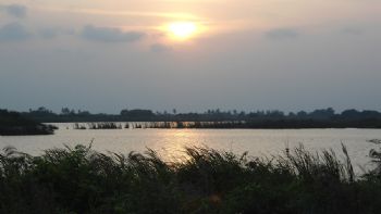 Luisa Reyes Retana sumerge al río Usumacinta en una novela sobre ecocidio y resistencia